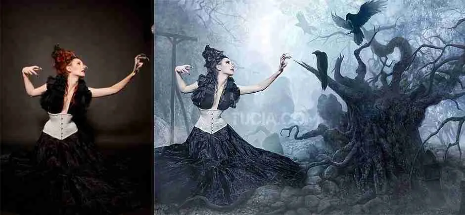 26 Fun Facts About Crows | Clever Tricksters 2 mythology and folklore