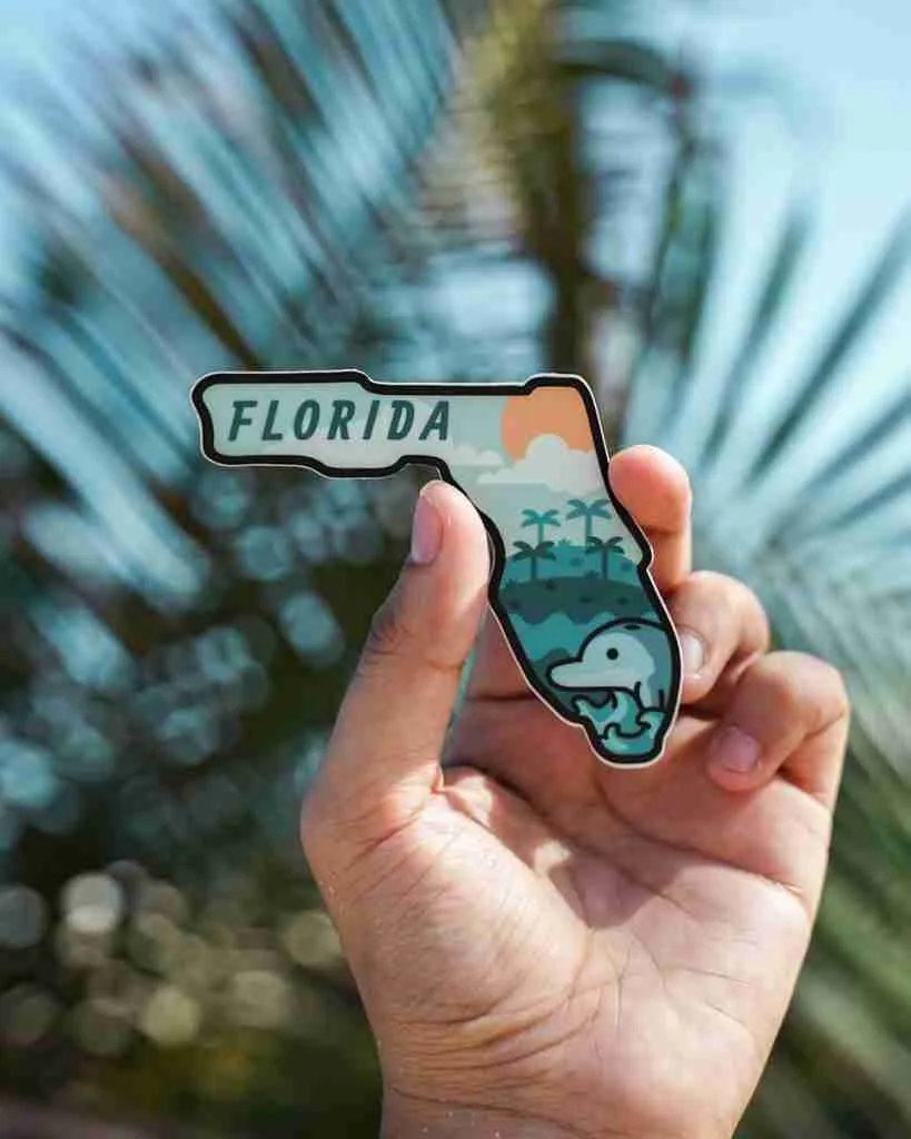 26 Fun Facts About Florida | Sunshine State's Secrets 2 person holding white and black iphone case
