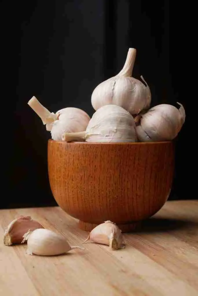 25 Fun Facts About Garlic | Pungent Powerhouse 2 garlic on brown wooden bowl