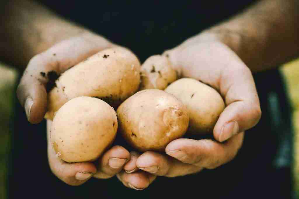 26 Fun Facts About Peru | The Heart of the Andes 1 bunch of potatoes