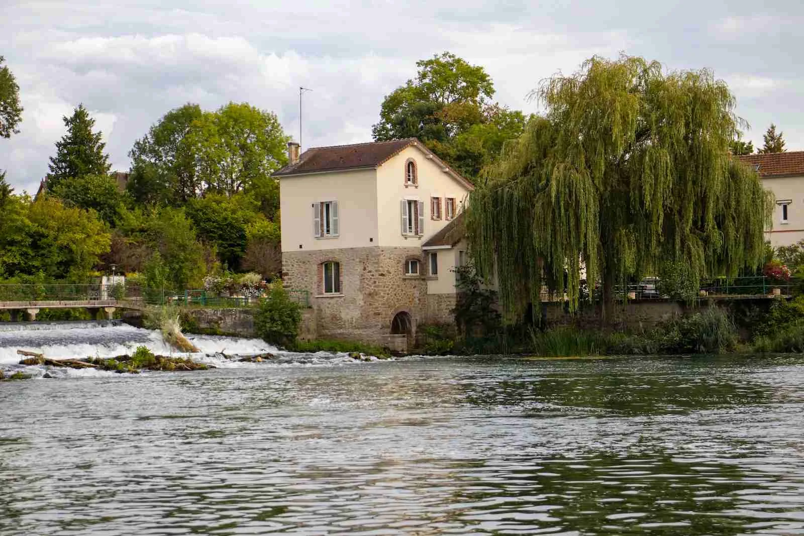 23 Fun Facts About Weeping Willow Trees 1 fun facts about weeping willow trees