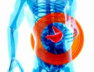 Fun (band) visual data 4