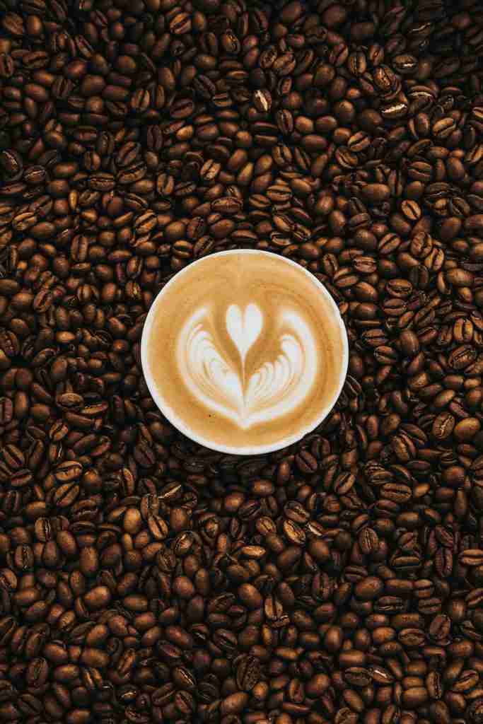25 Fun Facts About Food | Bite into Surprise 1 top view photography of heart latte coffee