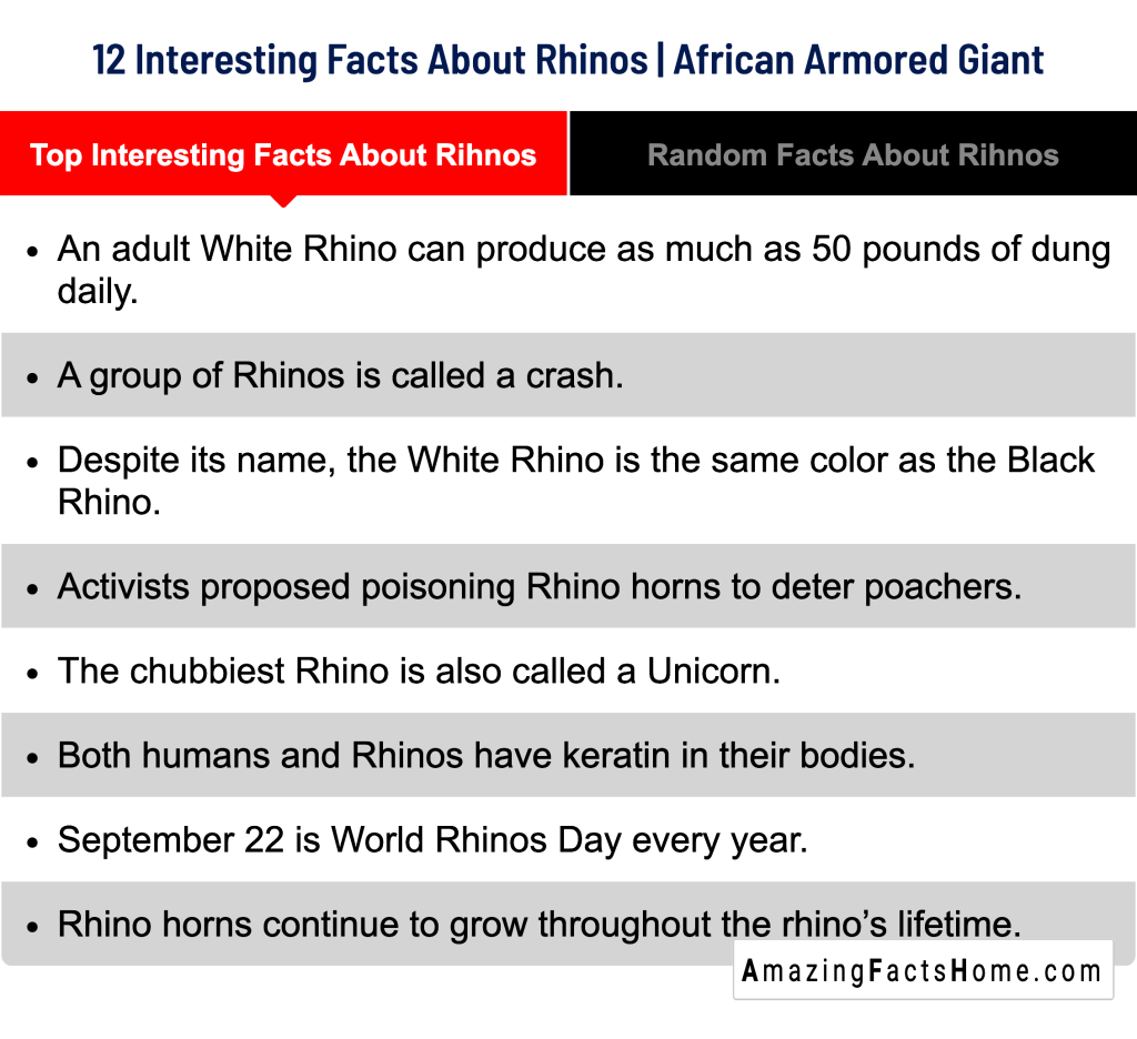 12 Interesting Facts About Rhinos | African Armored Giant - Top Interesting Facts About Rihnos