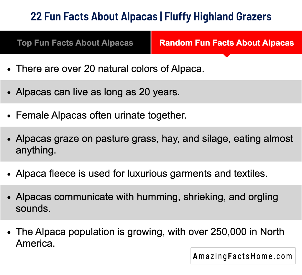 22 Fun Facts About Alpacas | Fluffy Highland Grazers - Random Fun Facts About Alpacas