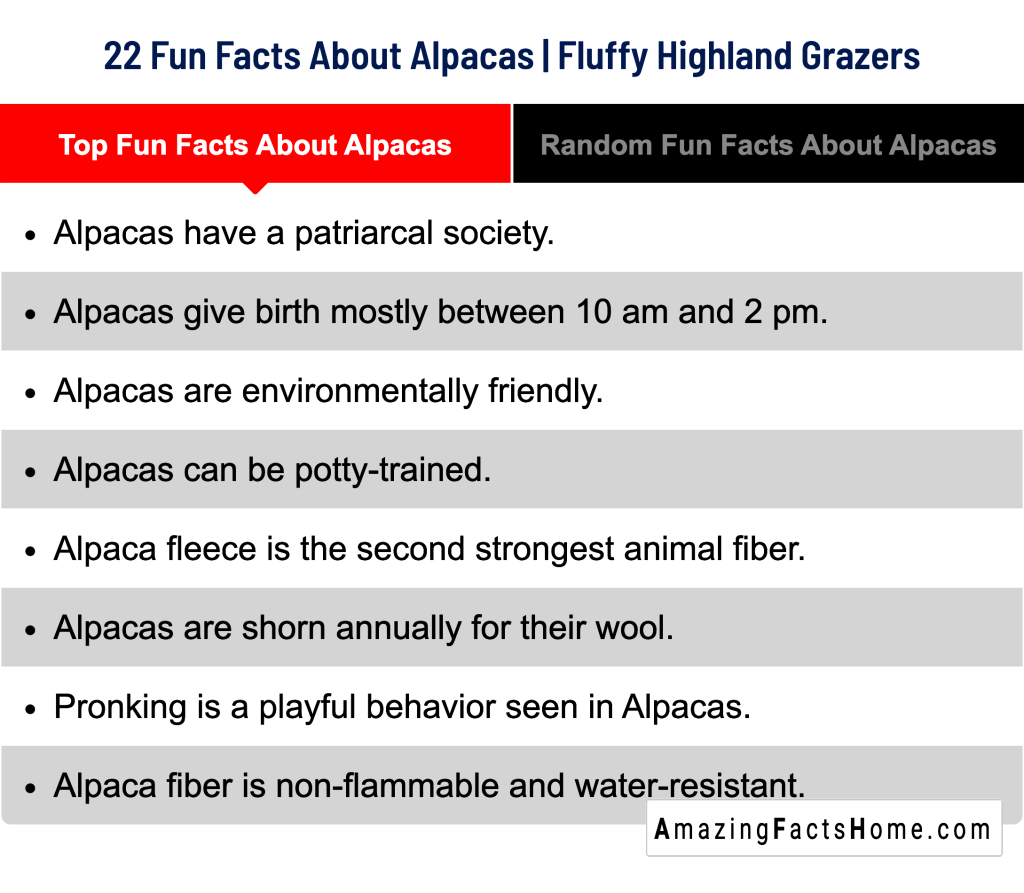 22 Fun Facts About Alpacas | Fluffy Highland Grazers - Top Fun Facts About Alpacas
