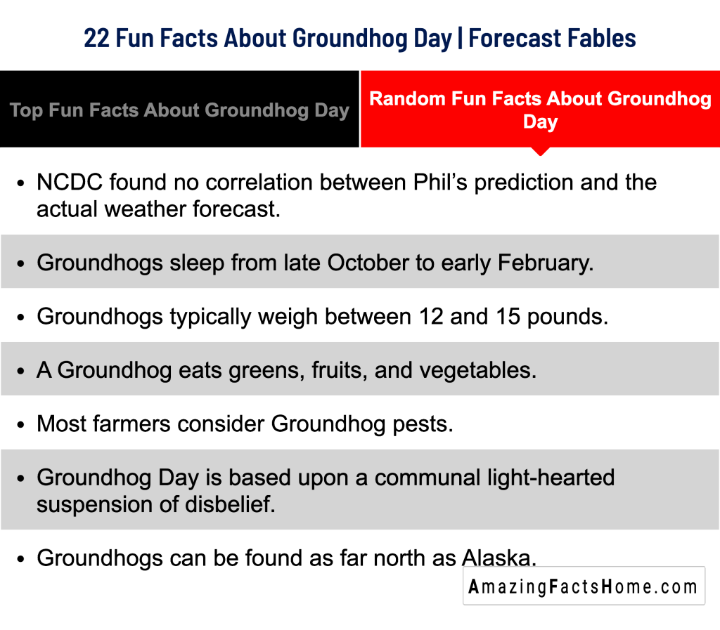 22 Fun Facts About Groundhog Day | Forecast Fables - Random Fun Facts About Groundhog Day