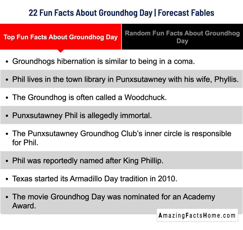 22 Fun Facts About Groundhog Day | Forecast Fables - Top Fun Facts About Groundhog Day