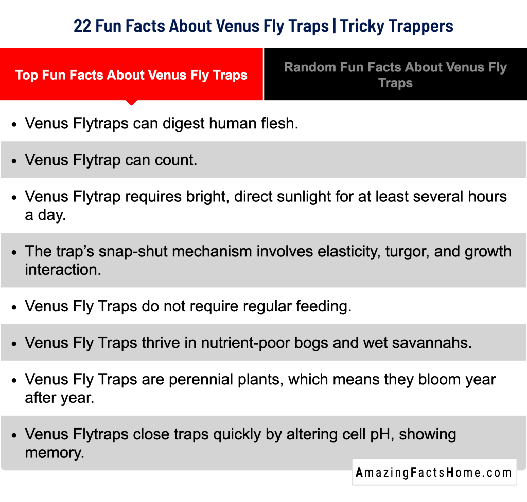 22 Fun Facts About Venus Fly Traps | Tricky Trappers - Top Fun Facts About Venus Fly Traps