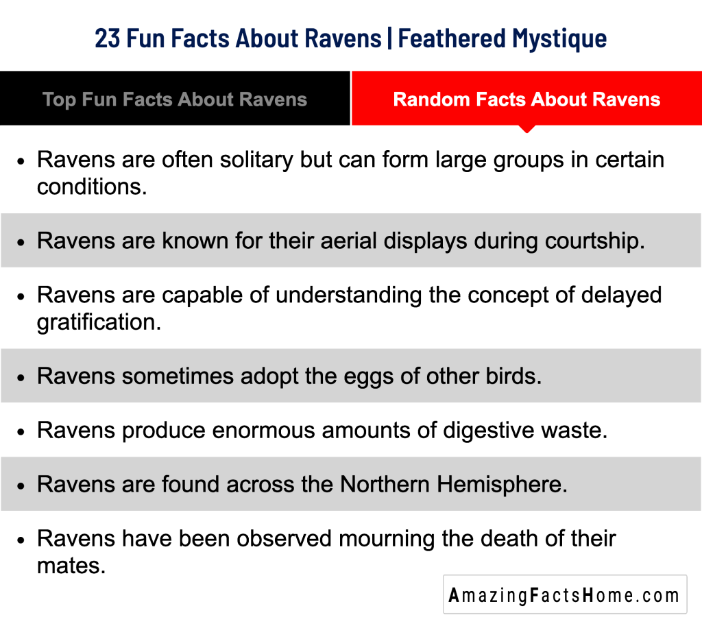 23 Fun Facts About Ravens | Feathered Mystique - Random Facts About Ravens