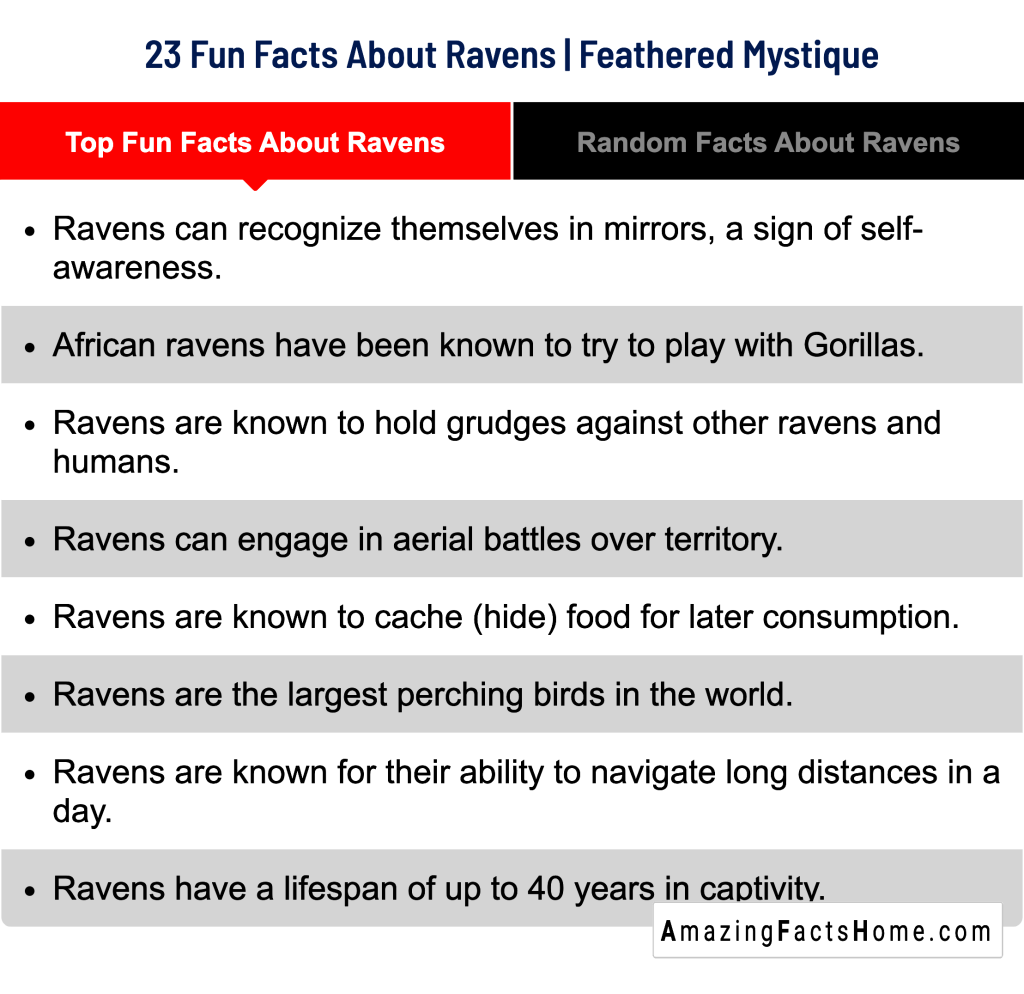 23 Fun Facts About Ravens | Feathered Mystique - Top Fun Facts About Ravens