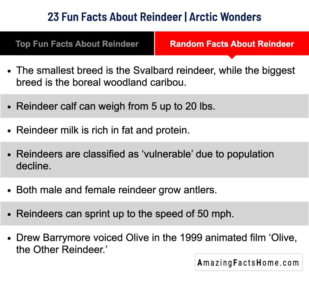 23 Fun Facts About Reindeer | Arctic Wonders - Random Facts About Reindeer
