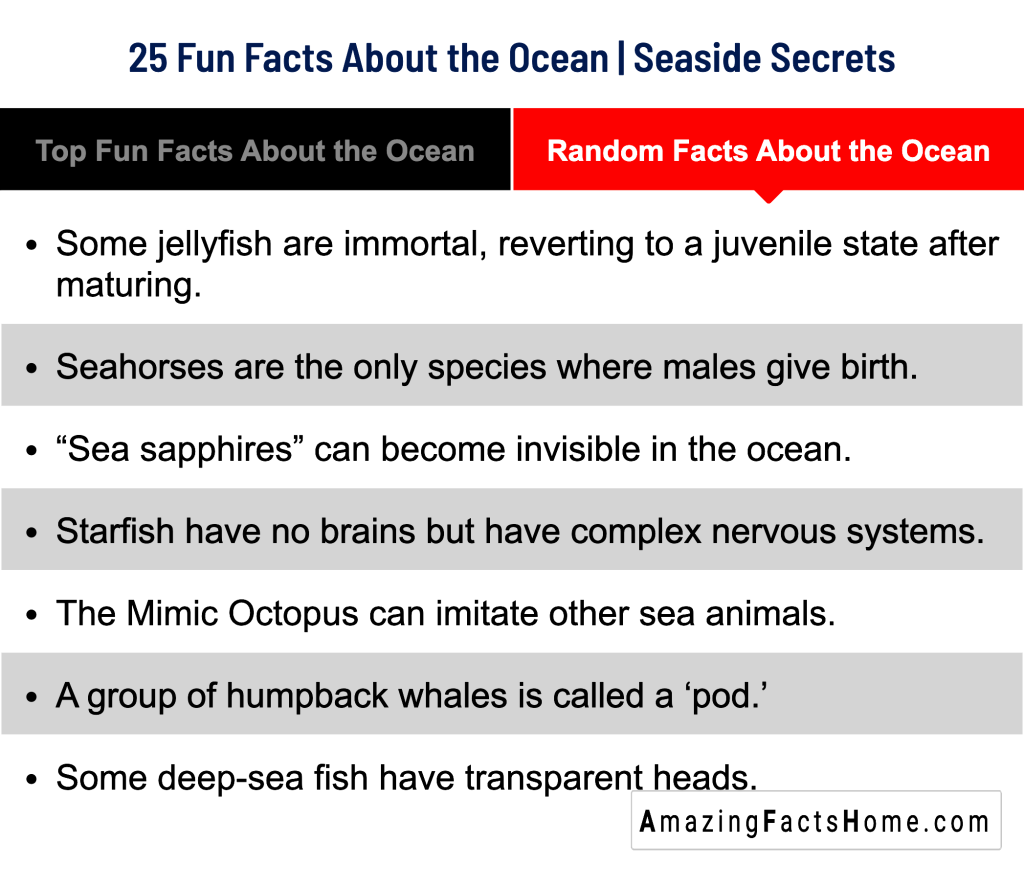 25 Fun Facts About the Ocean | Seaside Secrets - Random Facts About the Ocean