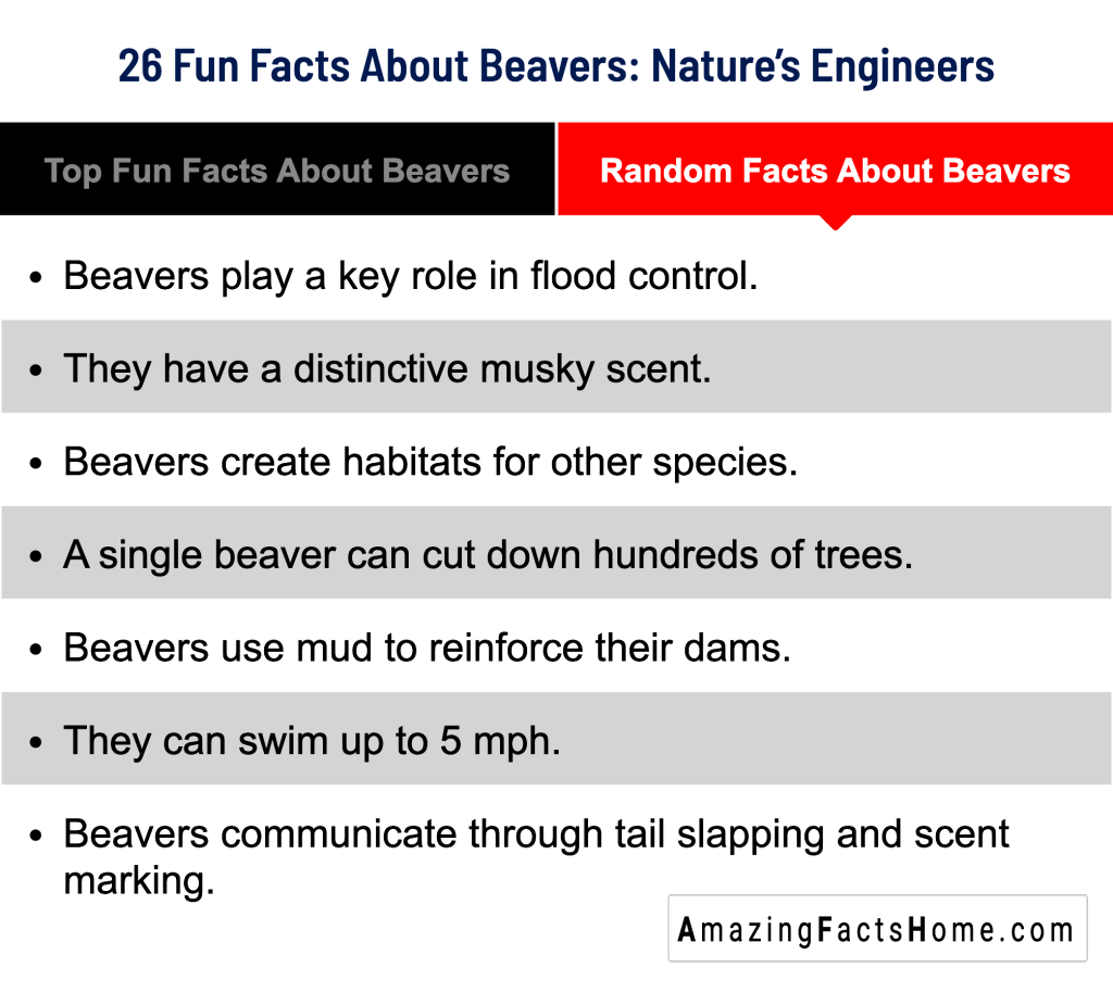 26 Fun Facts About Beavers: Nature’s Engineers - Random Facts About Beavers