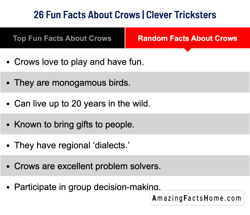26 Fun Facts About Crows | Clever Tricksters - Random Facts About Crows