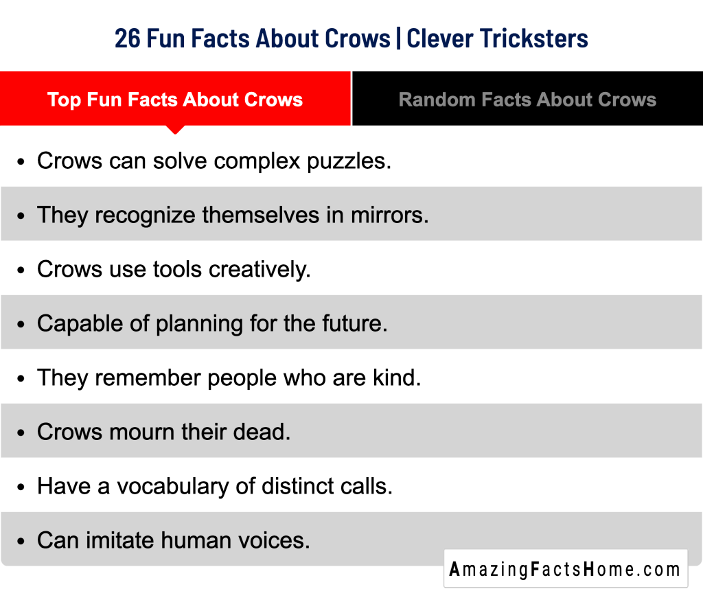 26 Fun Facts About Crows | Clever Tricksters - Top Fun Facts About Crows