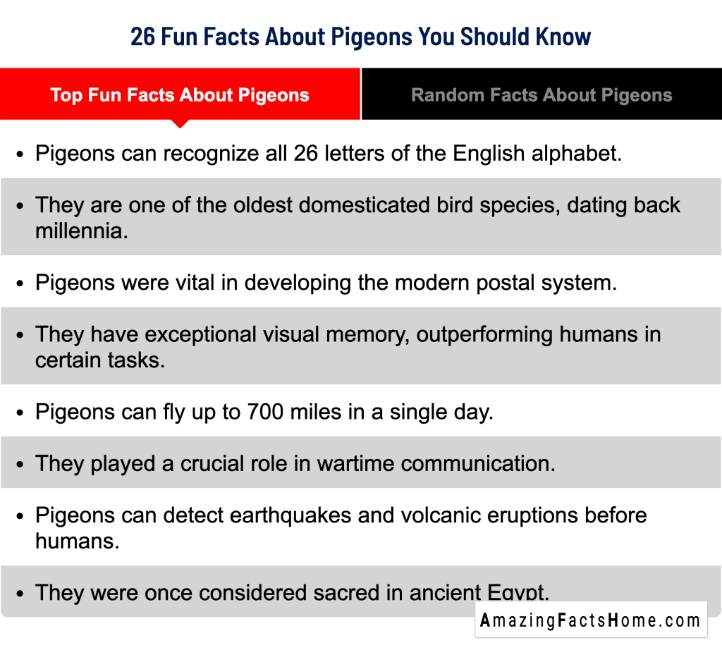 26 Fun Facts About Pigeons You Should Know - Top Fun Facts About Pigeons