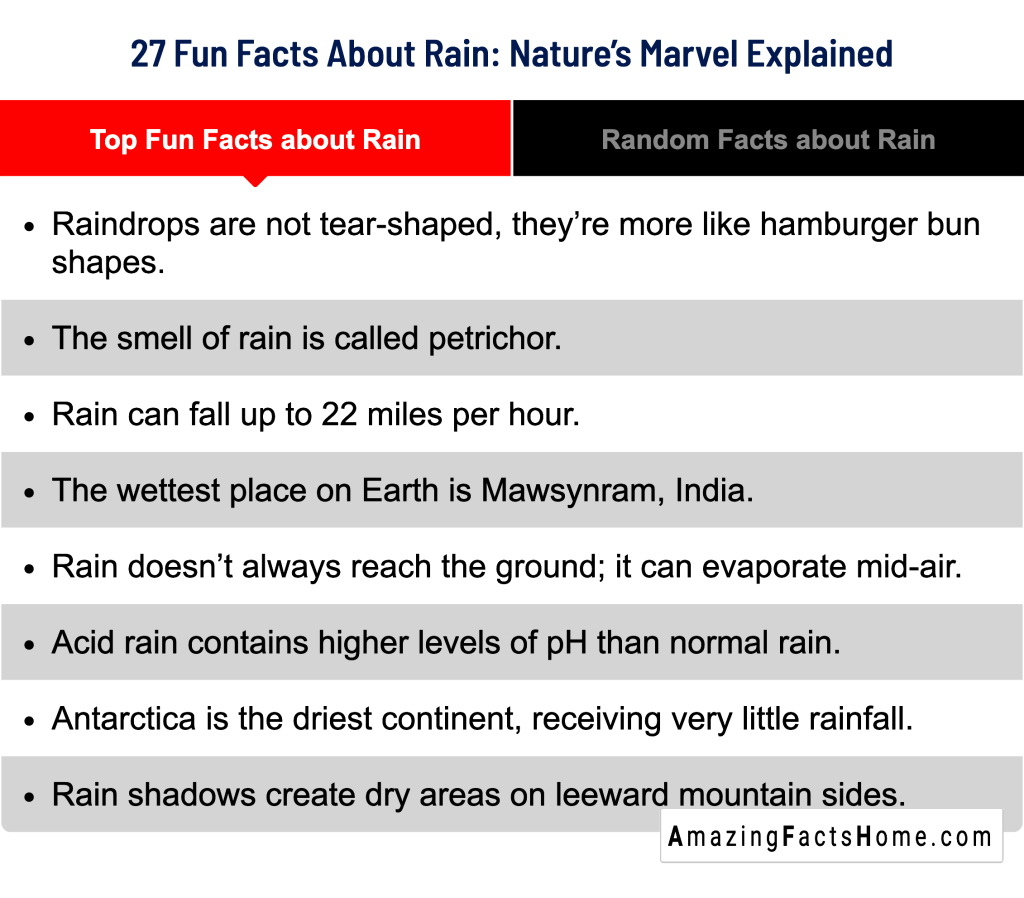 27 Fun Facts About Rain: Nature’s Marvel Explained - Top Fun Facts about Rain