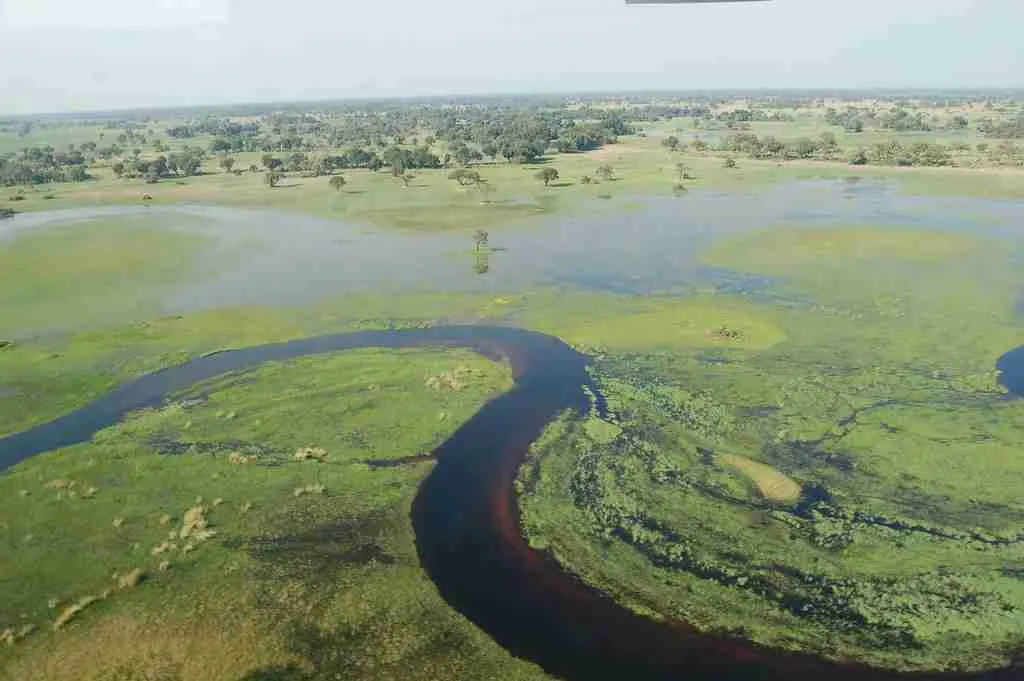 24 Fun Facts About World | Ignite Your Curiosity 6 Okavango Delta: fun facts about world