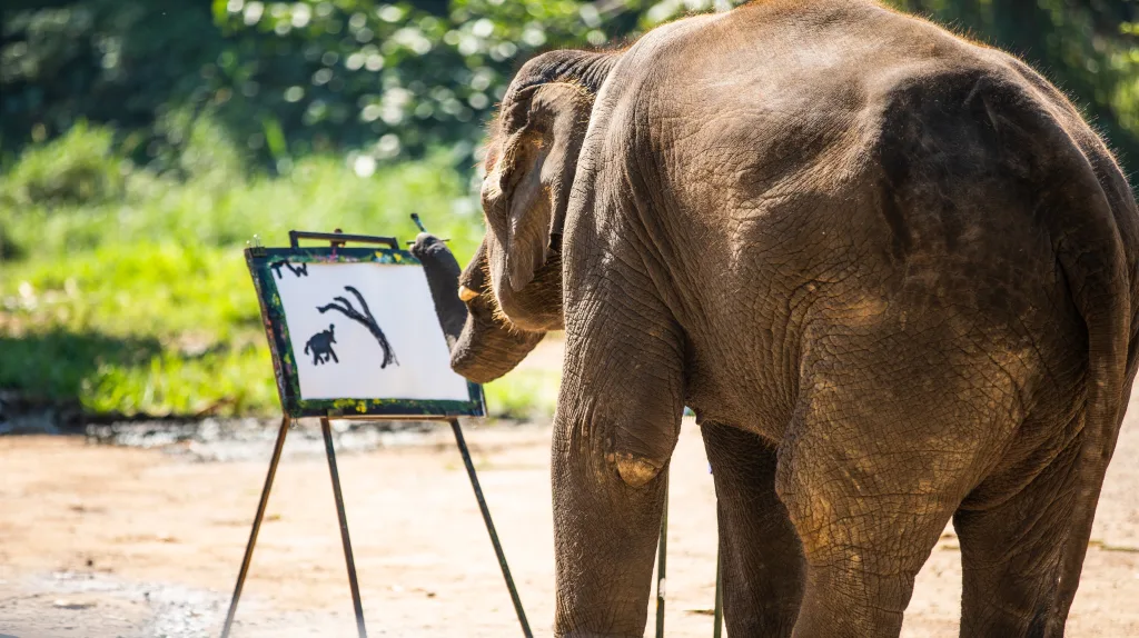elephants can paint, fun facts about elephants