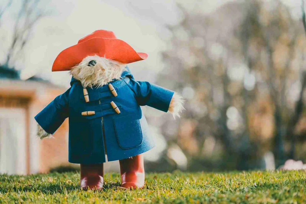 30 Fun Facts About Saturday That You Should Know 6 bear wearing blue coat