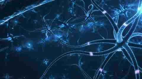 FACTS ABOUT THE NERVES IN THE NERVOUS SYSTEM visual data 7