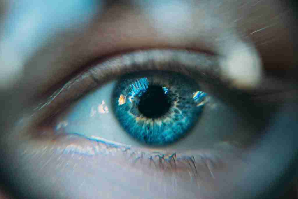30 Fun Facts About Human Body | A Voyage of Learning 1 blue eye photo: Fun Facts about human body