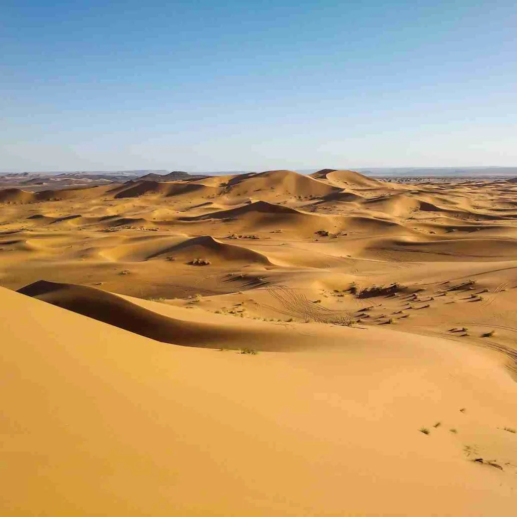 24 Fun Facts About World | Ignite Your Curiosity 2 white sand under blue sky during daytime