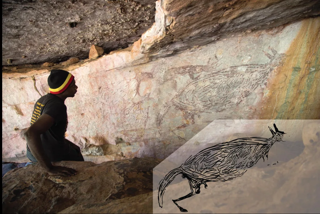 22 Fun Facts About Kangaroos | Hopping Pouches 2 Australia Oldest Rock Painting