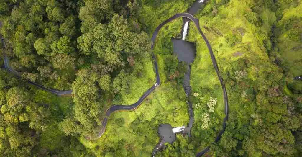 22 Fun Facts About Hawaii | Aloha Adventures 6 fun facts about Hawaii