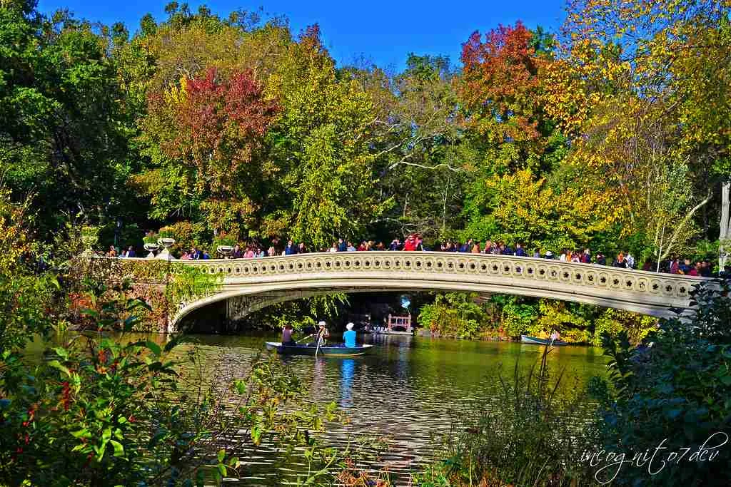 central park NY, fun facts about New York