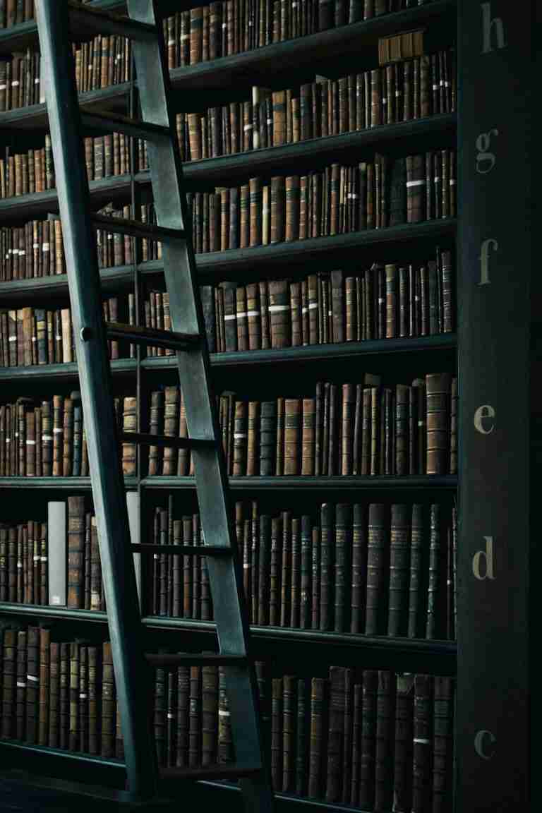 library shelf near black wooden ladder