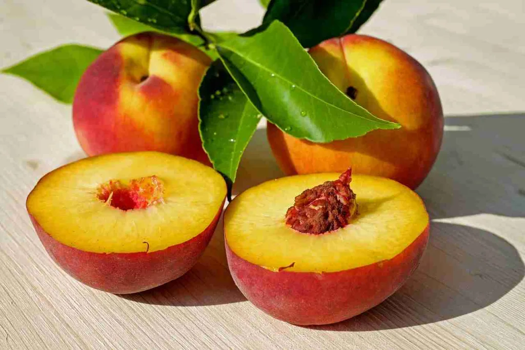 25 Fun Facts About Georgia | Small State, Big Surprises 5 peaches, fruits, food - Fun Facts About Georgia