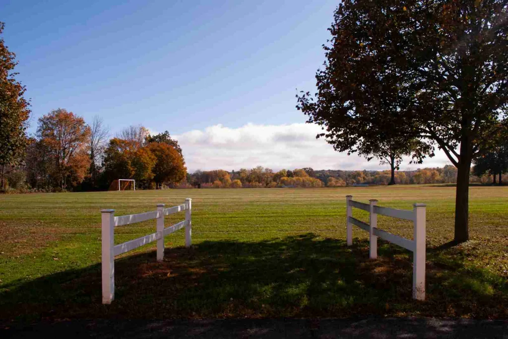 23 Fun Facts About Henry Ford 2 a field with a tree and two white benches