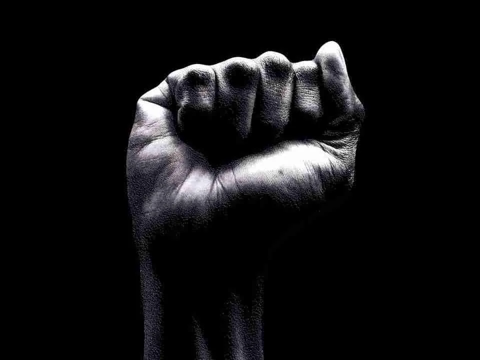 23 Facts about Black History Month | Surprising Origins 2 Raised fist
