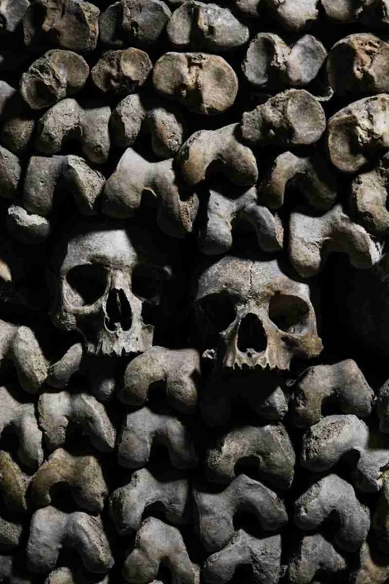 23 Fun Facts About Paris | Beyond the Tourist Spots 4 a bunch of skulls that are stacked on top of each other
