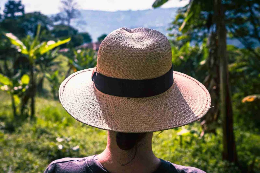 31 Fun Facts About Ecuador | High Life in the Clouds 2 a woman wearing a straw hat in a field: Fun Facts About Ecuador