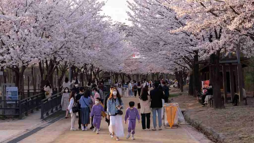 group of people standing on gray concrete pavement during daytime