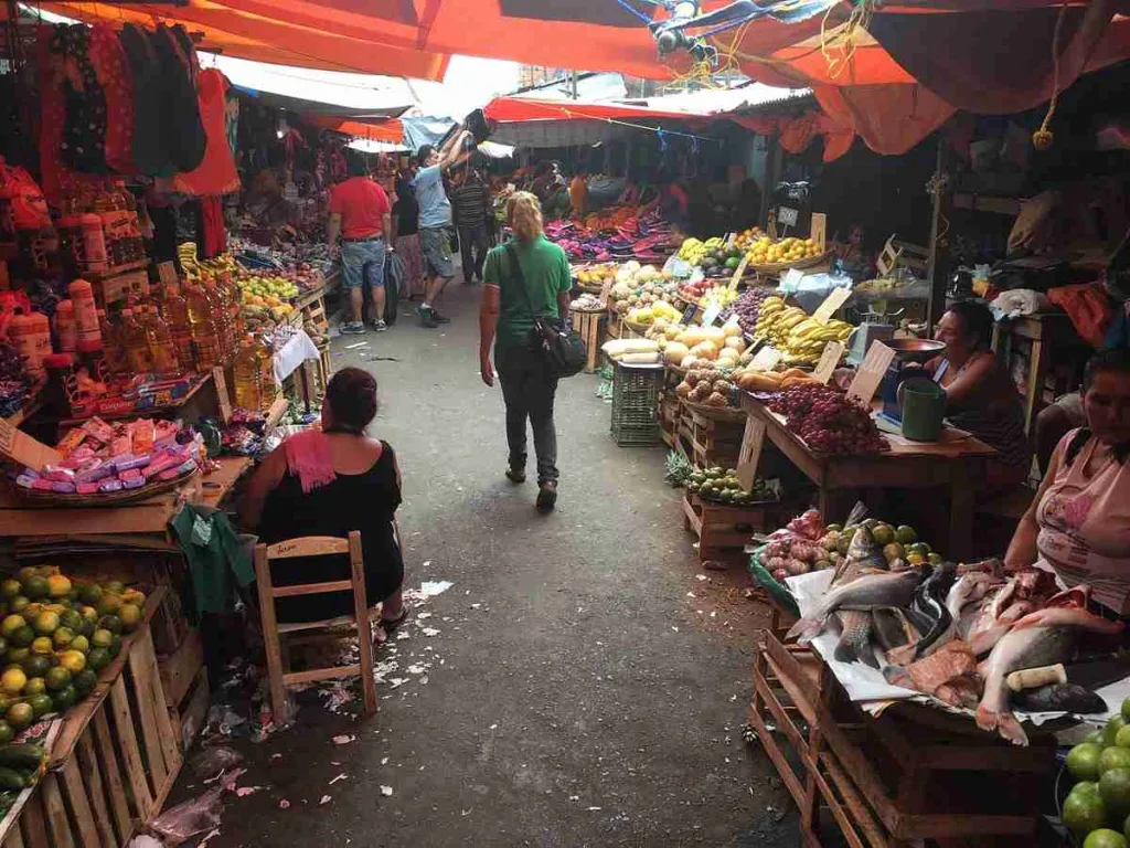 22 Fun Facts About Paraguay | Where Guarani Echoes 4 fun facts about Paraguay