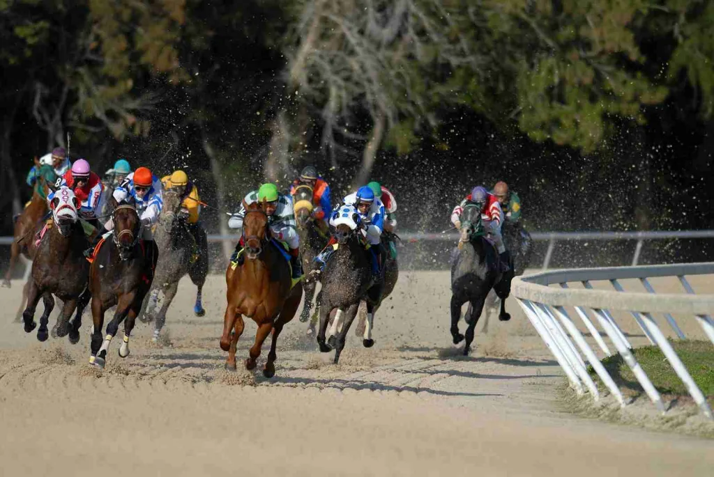 23 Fun Facts About Maryland | Heart of American History 4 shallow focus photography of horse race