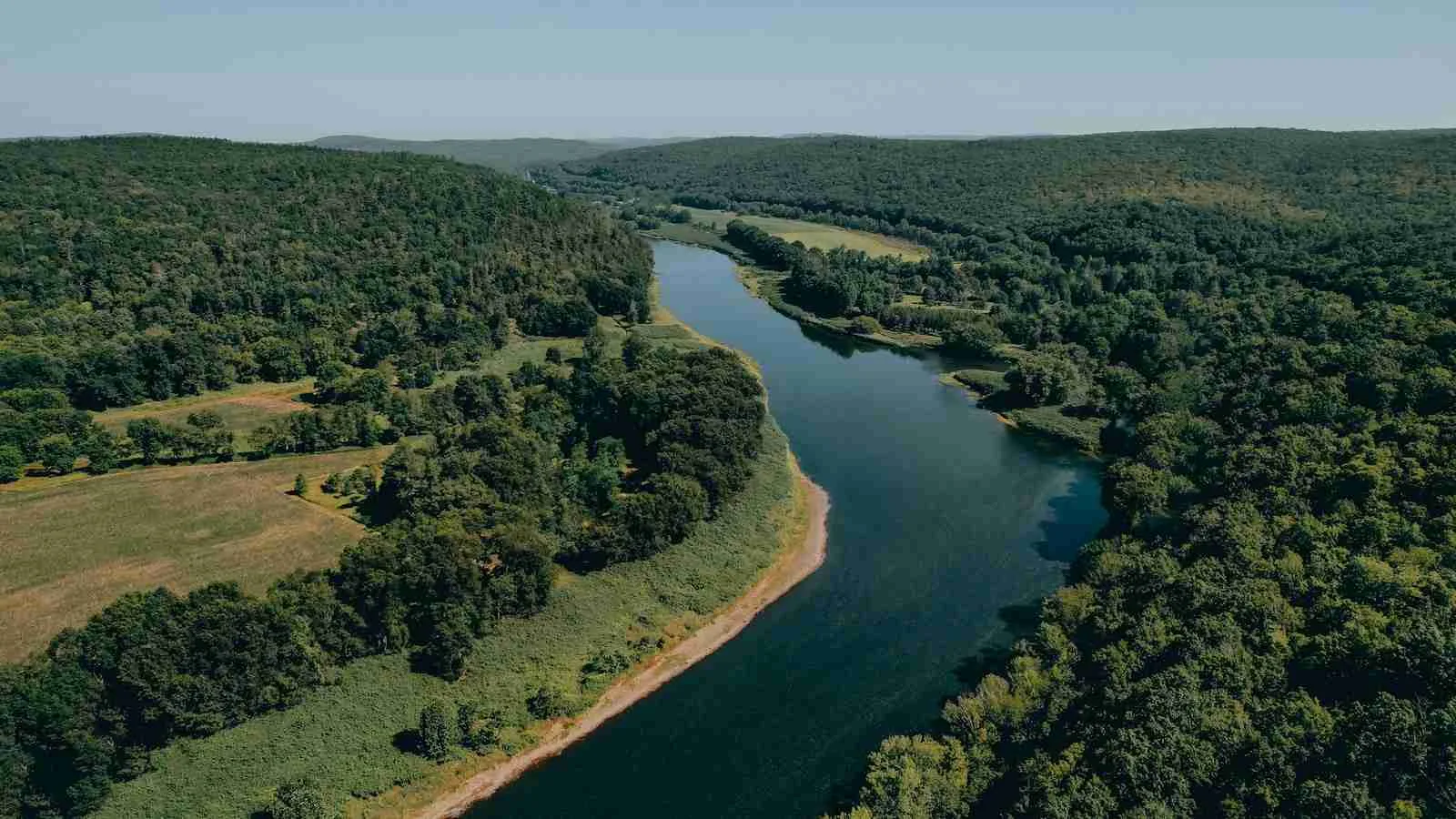 22 Fun Facts About Delaware You Won't Believe 4 Delaware River running through a forest