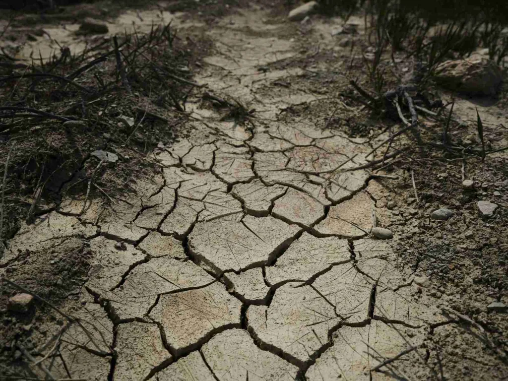 24 Fun Facts About Calcium | Important Facts You Need 2 a dirt road with cracks in the ground