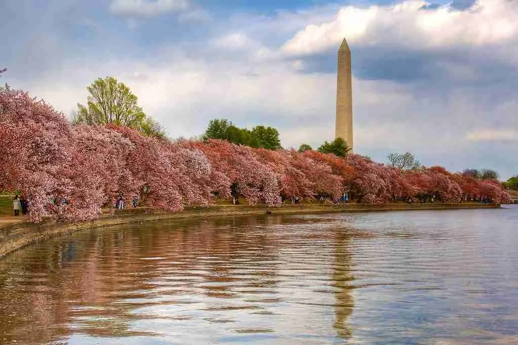 Facts Washington
