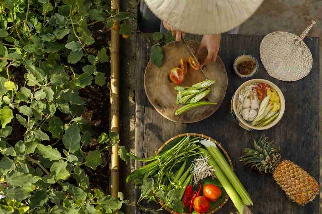 23 Fun Facts About Cooking That You Don't Want To Miss 2 woman, cooking, vietnamese cuisine