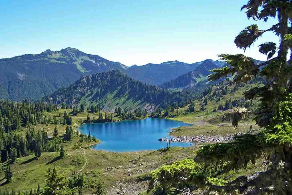 26 Fun Facts About Washington | The Evergreen State 2 fun facts about Washinton