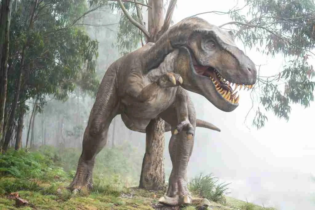 brown dinosaur illustration