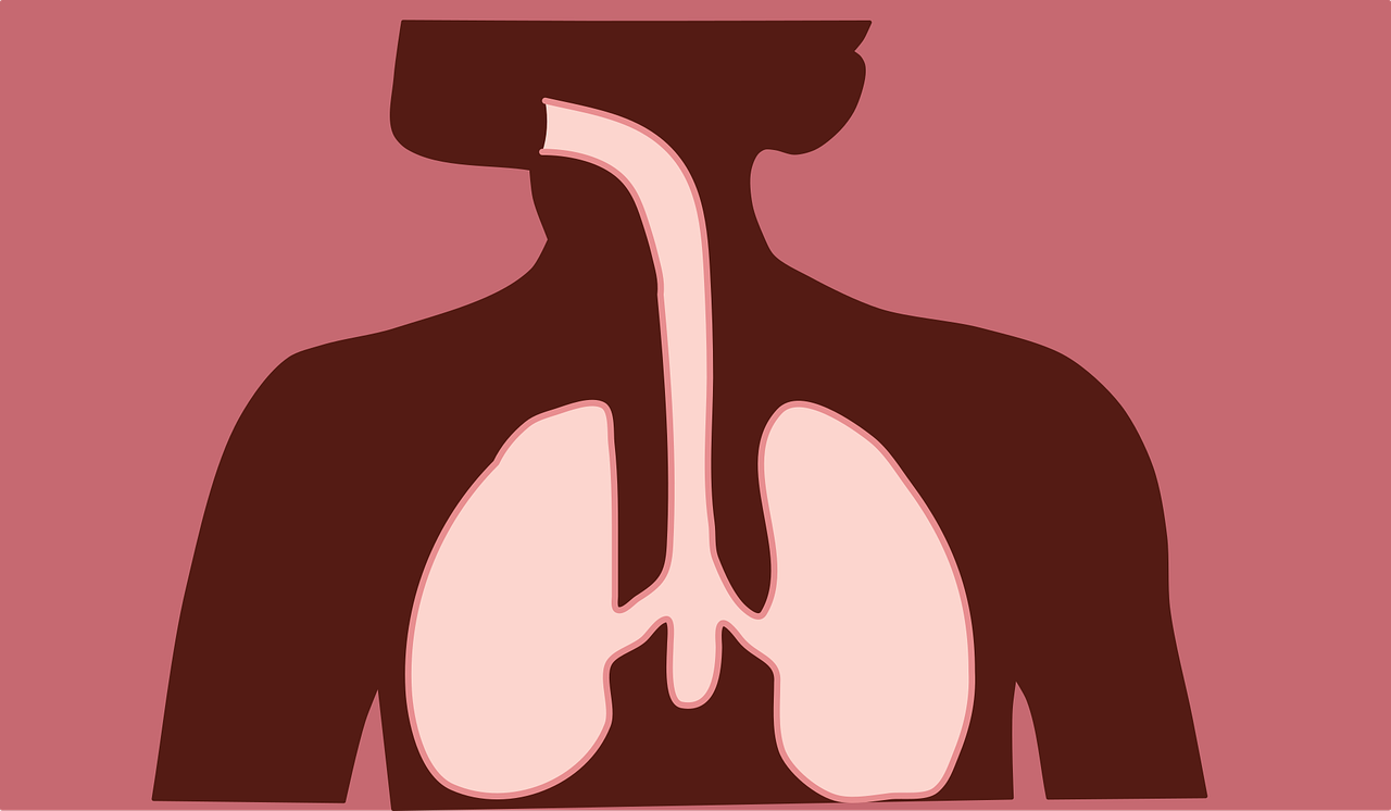 AMAZING FACTS ABOUT THE RESPIRATORY SYSTEM visual data 2