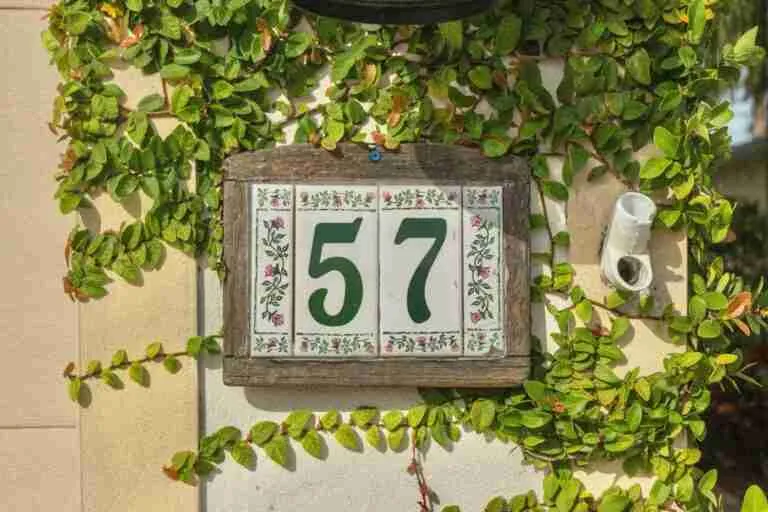 Interesting Facts About the Number 57