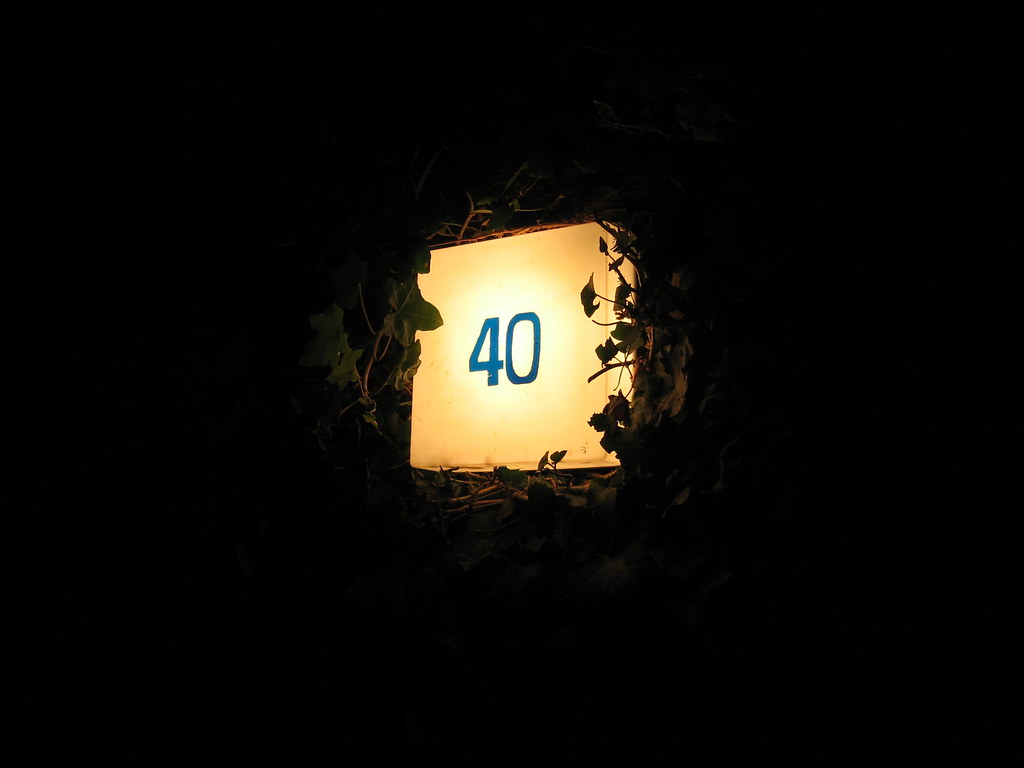 facts about the number 40